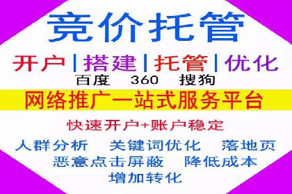 搜索引擎营销（SEM）成功运营的五大案例
