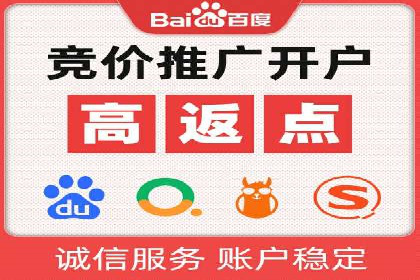 电商SEM推广案例解析
